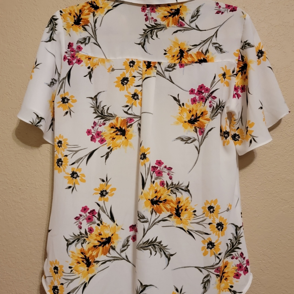 Blouses - Picture 2 of 5